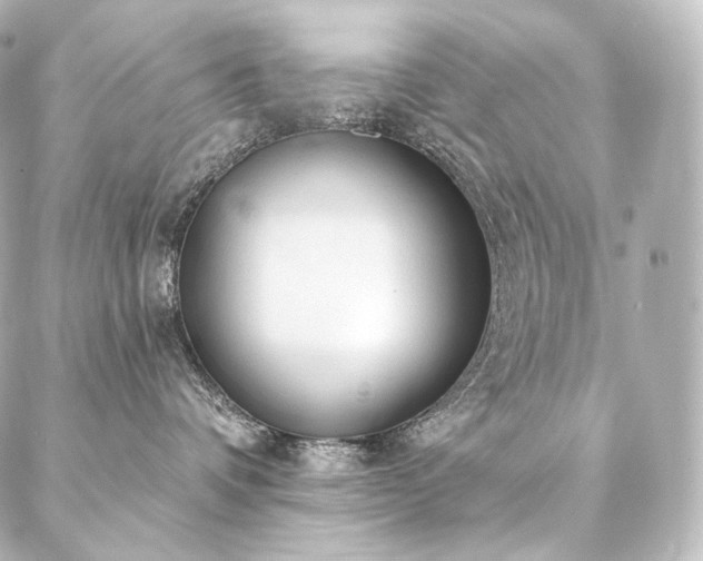 X0000086950336200704231432