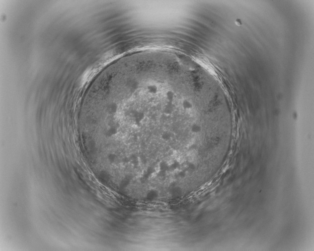 X0000086950337200704231431