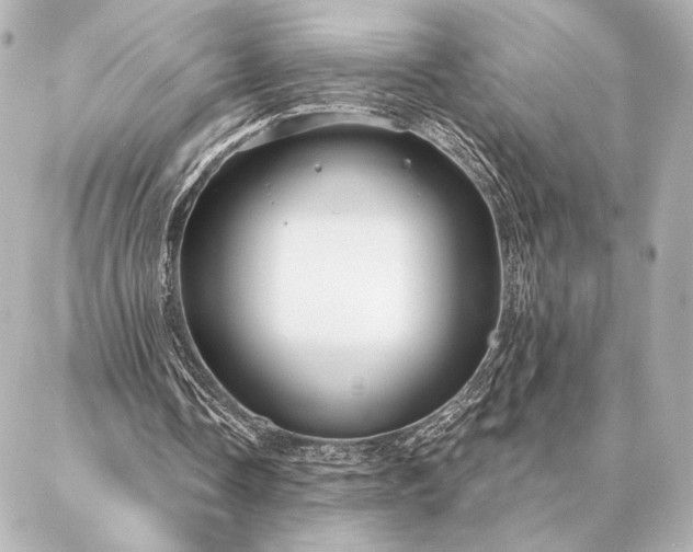 X0000086950338200704231431