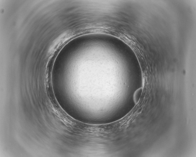 X0000086950339200704231431