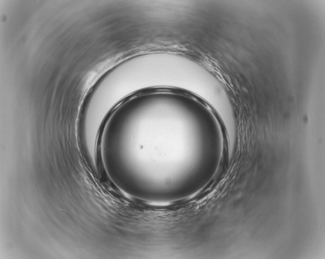 X0000086950340200704231431