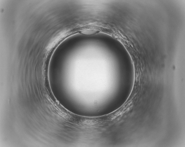 X0000086950341200704231431