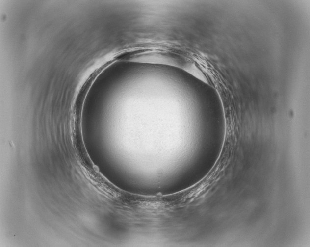 X0000086950342200704231431