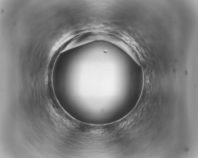 X0000086950344200704231431