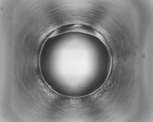 X0000086950345200704231431