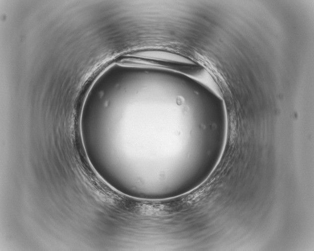 X0000086950346200704231431