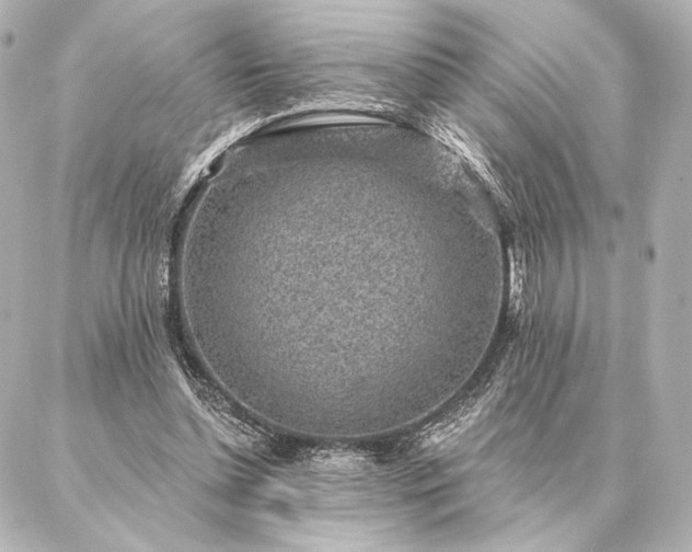 X0000086950348200704231431