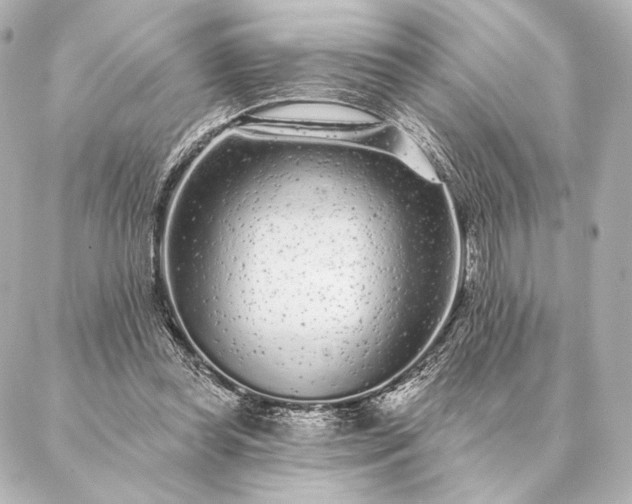 X0000086950349200704231431