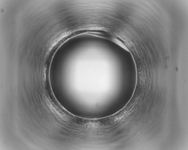 X0000086950350200704231431