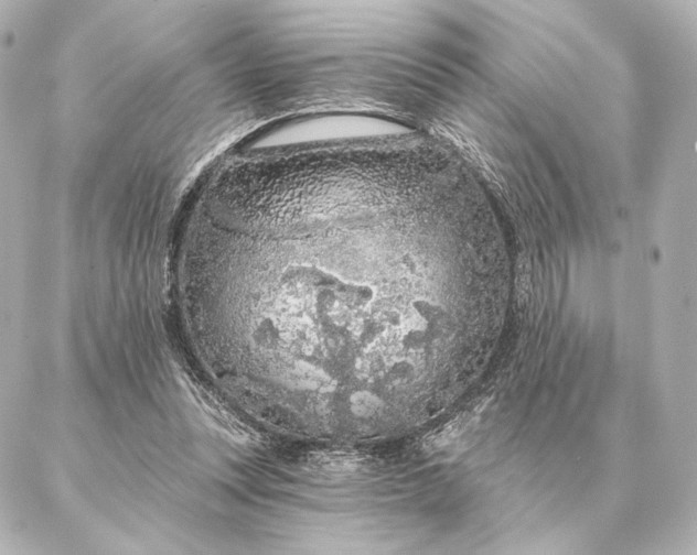 X0000086950351200704231431