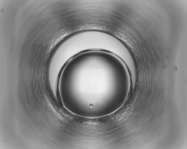 X0000086950352200704231431