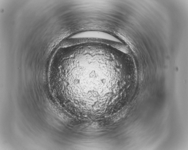 X0000086950353200704231431