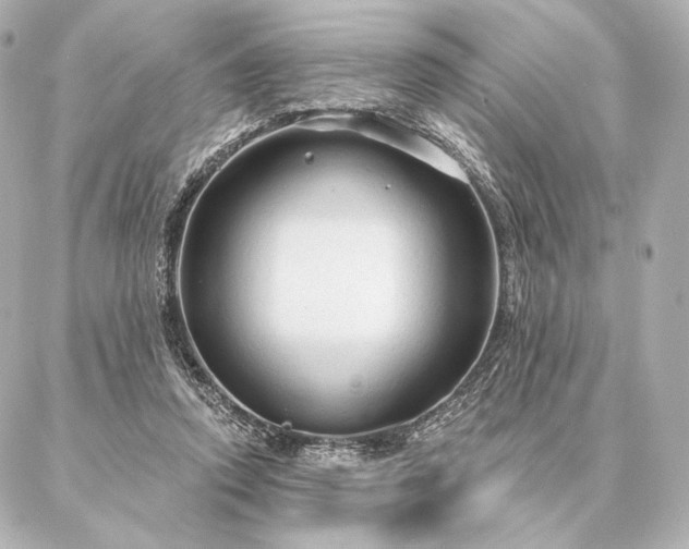 X0000086950354200704231431