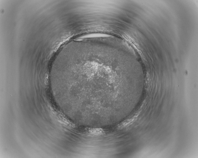 X0000086950355200704231431