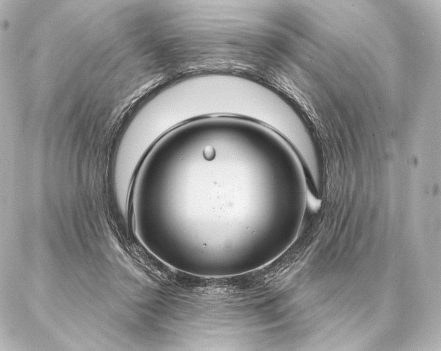 X0000086950356200704231431