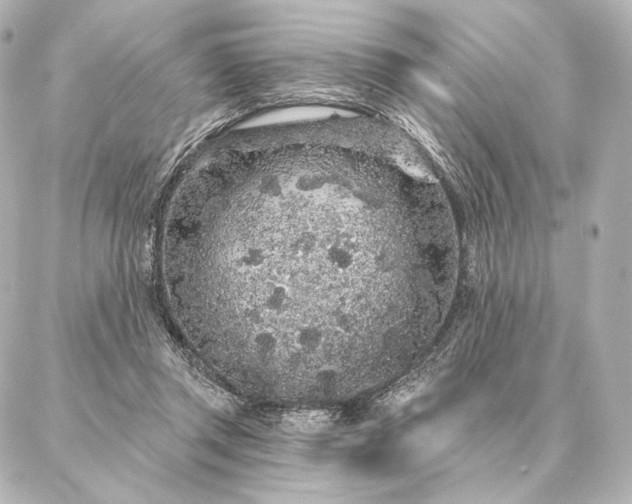 X0000086950357200704231431