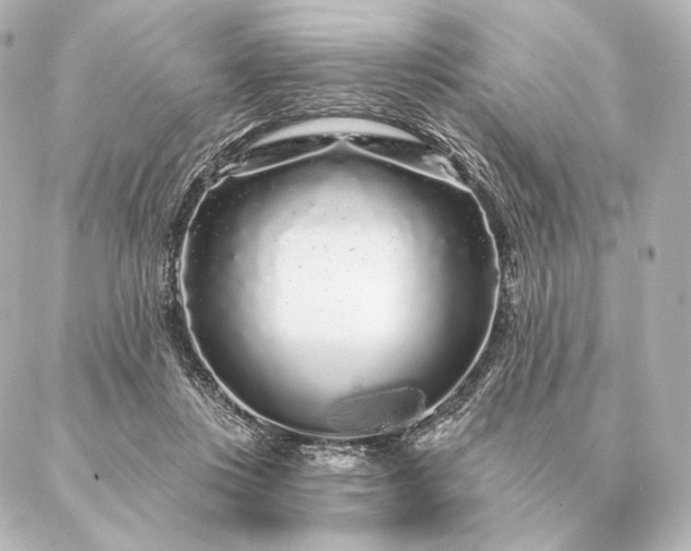 X0000086950359200704231431