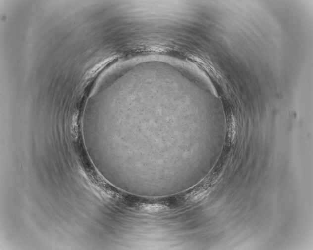 X0000086950360200704231431