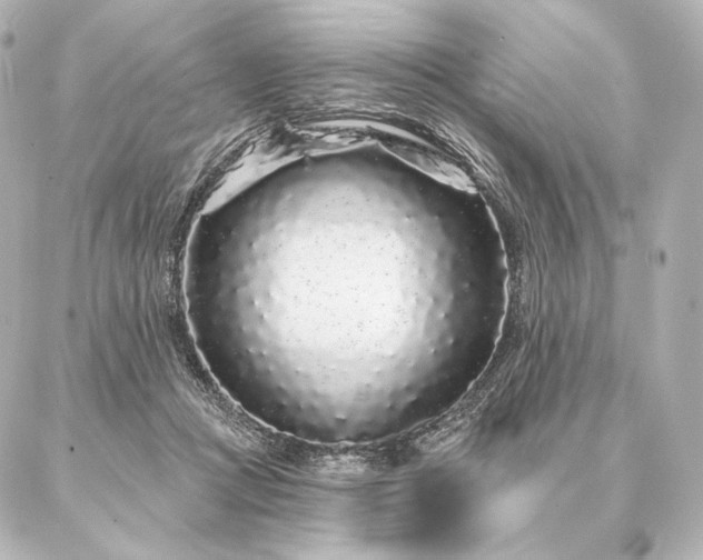 X0000086950361200704231431