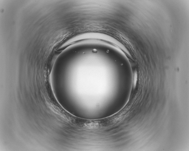 X0000086950362200704231431