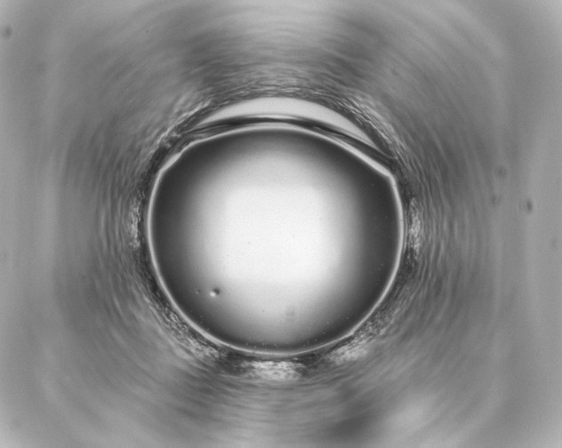 X0000086950363200704231431