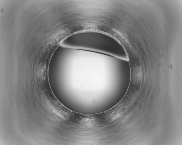 X0000086950364200704231431