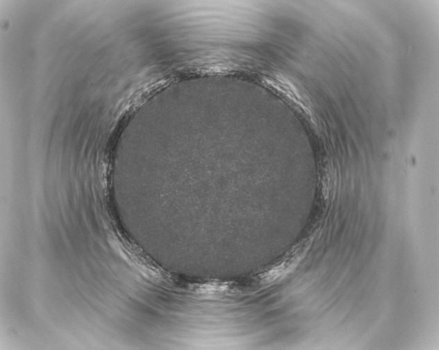 X0000086950366200704231431