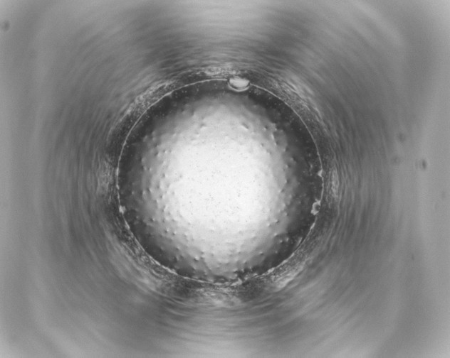 X0000086950367200704231431