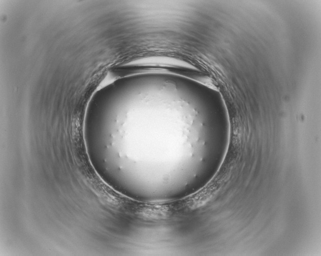 X0000086950369200704231431