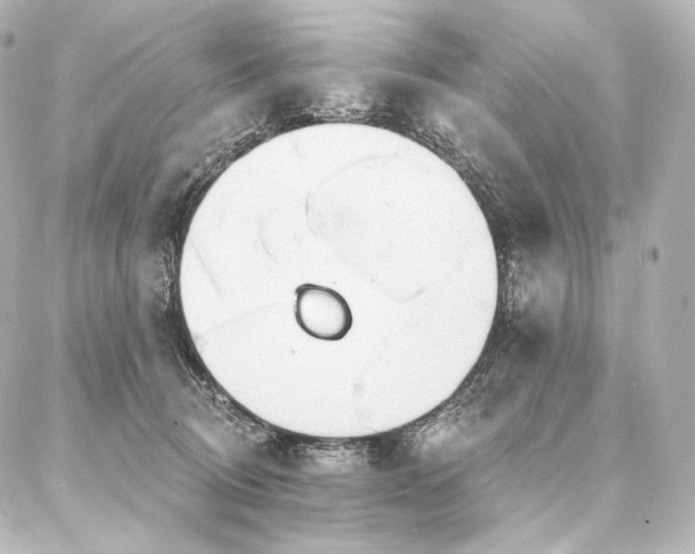 X0000086950370200704231431