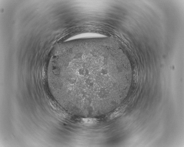 X0000086950371200704231431