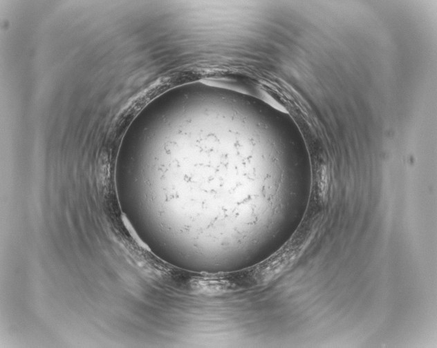 X0000086950372200704231431