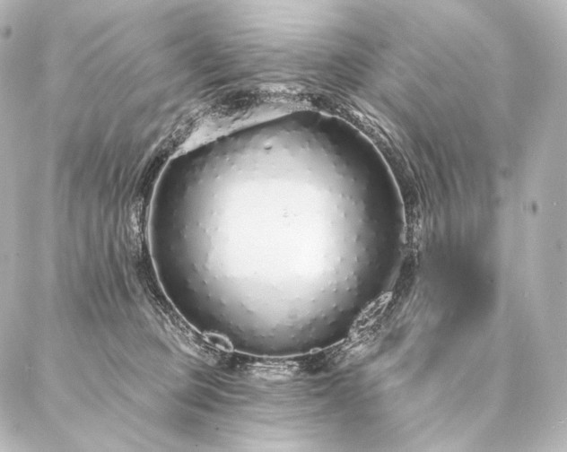 X0000086950373200704231431