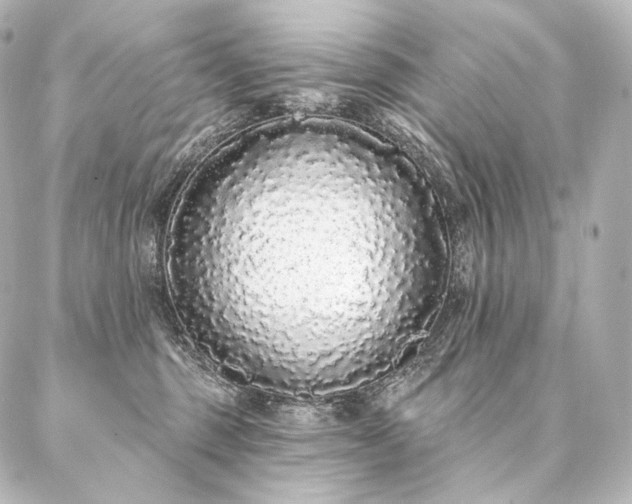 X0000086950375200704231431