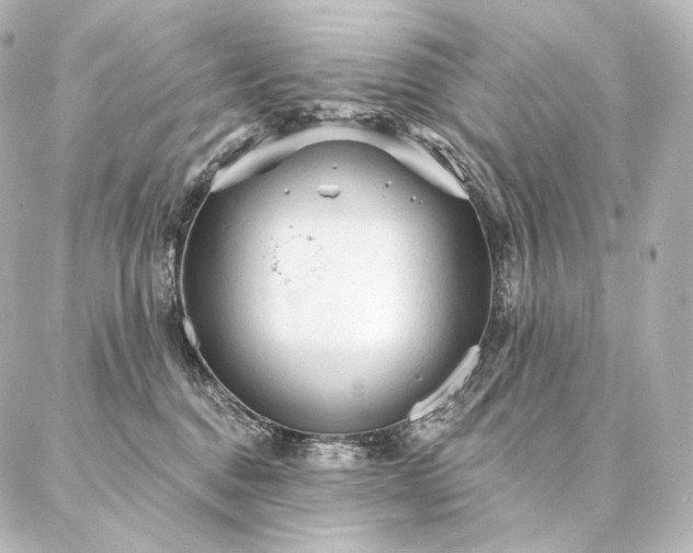 X0000086950376200704231431