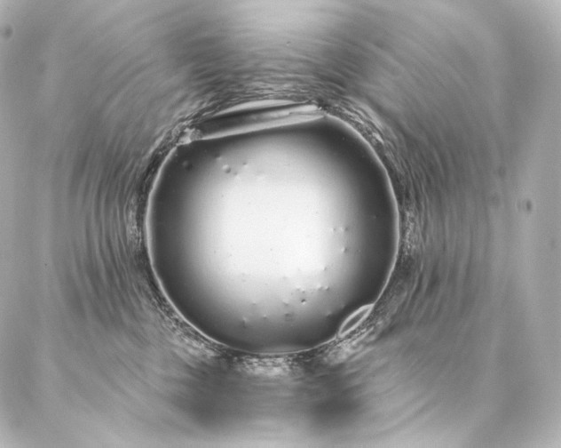 X0000086950377200704231431