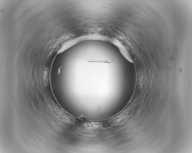 X0000086950378200704231431