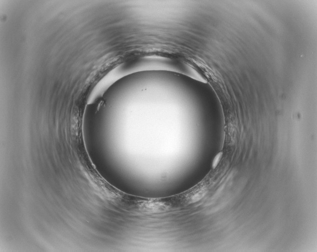 X0000086950379200704231431