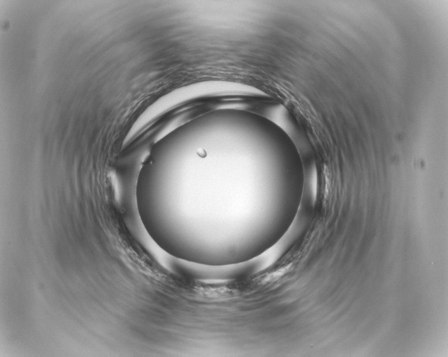 X0000086950380200704231432