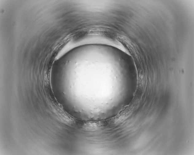 X0000086950381200704231432