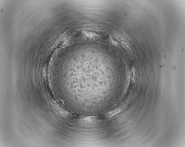 X0000086950382200704231432