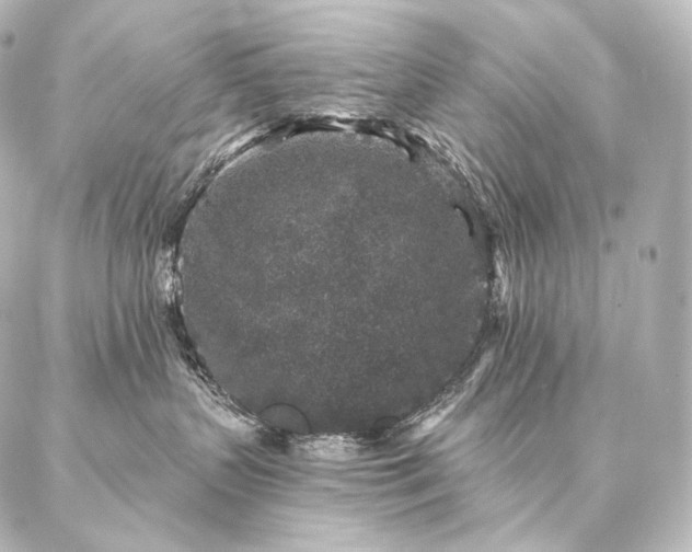 X0000086950383200704231432