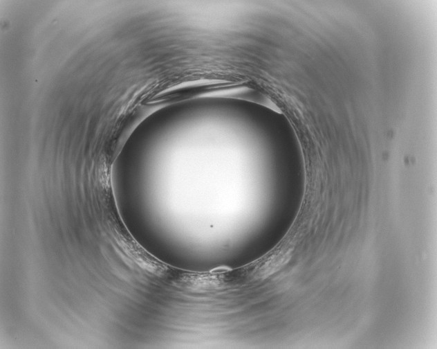 X0000086950384200704231432