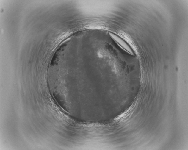 X0000086950385200704231431