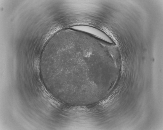 X0000086950386200704231431