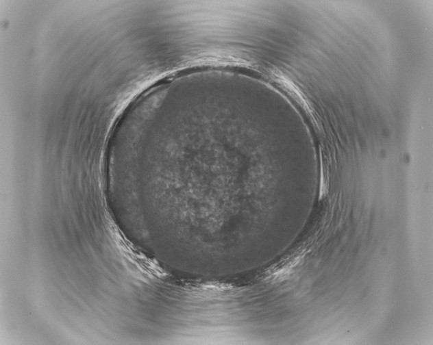 X0000086950387200704231431