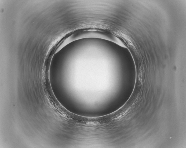 X0000086950388200704231431