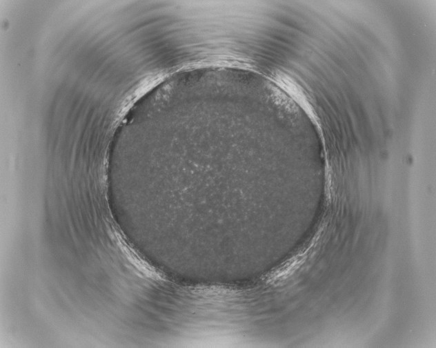 X0000086950389200704231431