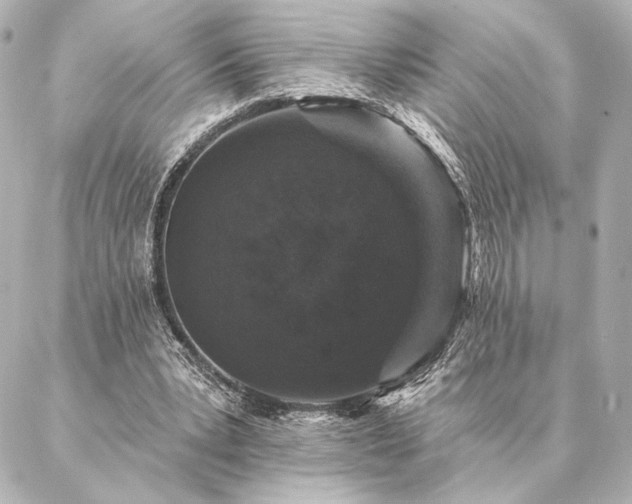 X0000086950391200704231431