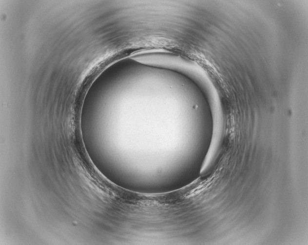 X0000086950392200704231431